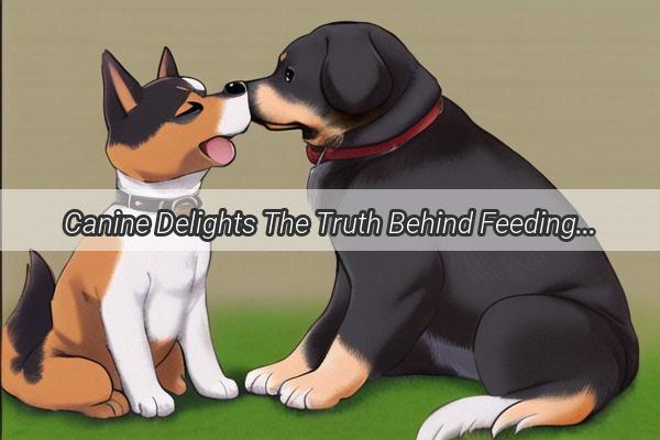 Canine Delights The Truth Behind Feeding Bread and Jam to Your Furry Friend